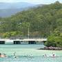 Tallebudgera Creek