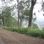 Mountain Road