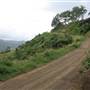 Mountain Road