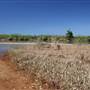 Tully River