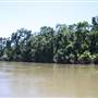 Tully River
