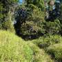 Whitsunday Great Walk