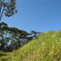 Whitsunday Great Walk