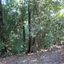 Whitsunday Great Walk
