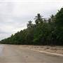 Wonga Beach