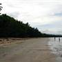 Wonga Beach
