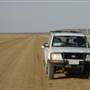 Muttaburra - Aramac Rd
