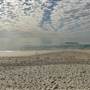 Tugun - Beach & Surf Club