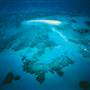 Vlasoff Cay