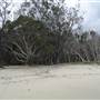 Minjeeribah (North Stradbroke Island) - Home Beach