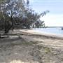 Coochiemudlo Island