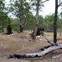 Mining Heritage Park