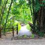 Kholo Botanic Gardens