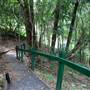 Kholo Botanic Gardens