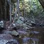 Tamborine National Park