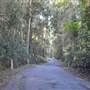 Winding Scenic Mountain Road - National Park