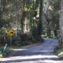 Winding Scenic Mountain Road - National Park