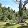 O'Reillys Rainforest Retreat