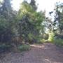 O'Reillys Rainforest Retreat
