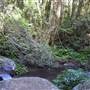 Moran Falls