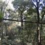 O'Reillys Rainforest Retreat