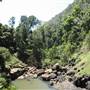 Purling Brook Falls - Springbrook National Park