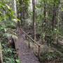 Upper Maroochy River