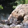 Rocky Creek Falls