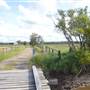 River Road