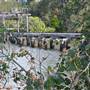 Maroochy River / Old Rail Bridge