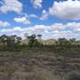 Leichhardt River Rd - Off-Road