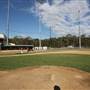 Redlands Rays Baseball