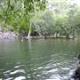 Whitsundays - Cedar Creek Falls