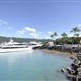 Shute Harbour