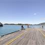 Shute Harbour