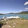 Shute Harbour