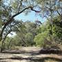 Mangroves meet Ocean - Tallebudgera Creek Conservation Park