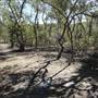 Mangroves meet Ocean - Tallebudgera Creek Conservation Park