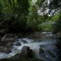 Mossman Gorge