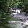 Mossman Gorge