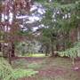 The Backlot, Bonogin - Overview