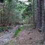 The Backlot, Bonogin - Overview