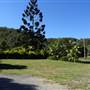 The Backlot, Bonogin - Overview