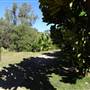The Backlot, Bonogin - Overview