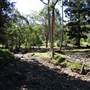 The Backlot, Bonogin - Overview