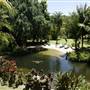The Botanical Ark Retreat