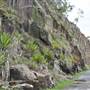 Kangaroo Point - Rock Wall