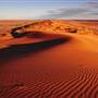 Birdsville Desert Sand Dune