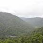 Mamu Tropical Skywalk