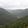 Mamu Tropical Skywalk